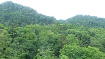 部屋からの景観 / 14