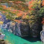 絶景、アート、スイーツ満喫の秋旅。感動に心満たされる徳島めぐり