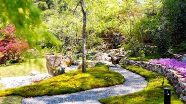 施設からの眺望 / 18