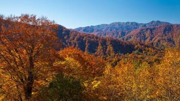 施設の敷地 / 15