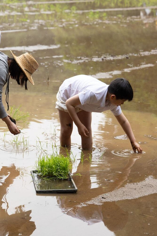 子供向けアクティビティ