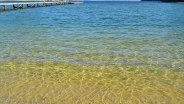 ビーチ / オーシャン ビュー / 33