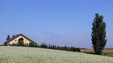 施設からの眺望 / 9