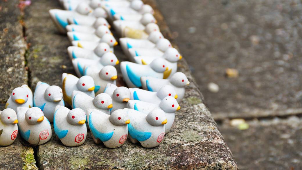 頂法寺(六角堂)の鳩みくじ / 2