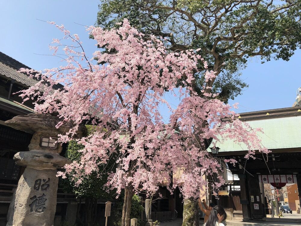 観光スポット