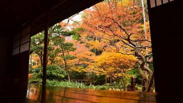 観光スポット / 10