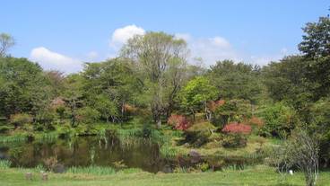 施設の敷地 / 19