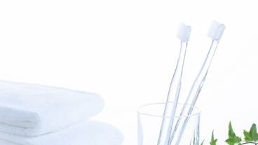 客室の設備とサービス / 4