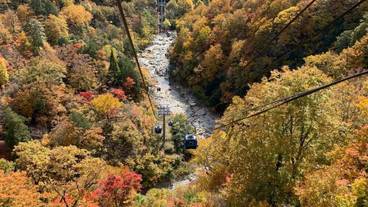 施設からの眺望 / 37
