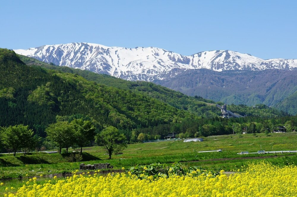 マウンテン ビュー