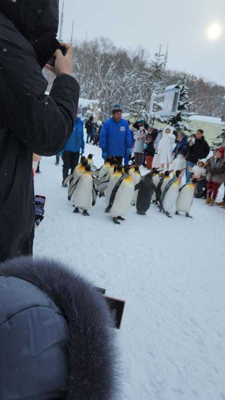 mihona07さんの写真 / 2