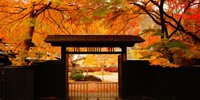 自然が織り成す秋の絶景。秋田県のおすすめ紅葉スポット8選