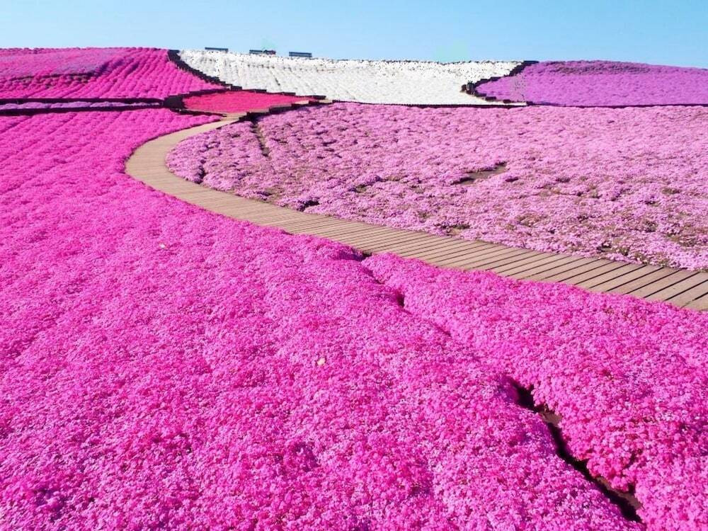 観光スポット