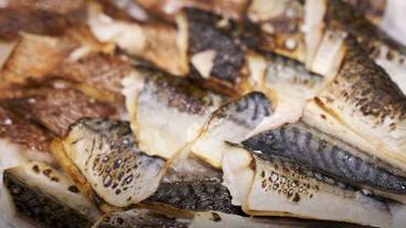 レストラン / 36