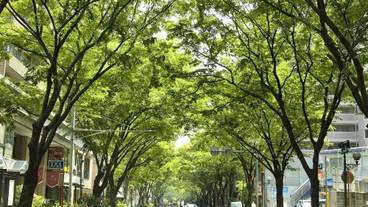 ランド ビュー / 12