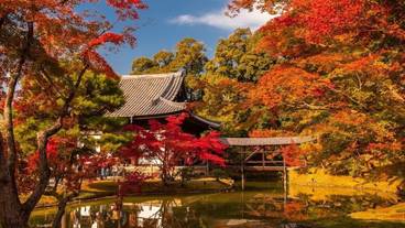 観光スポット / 9