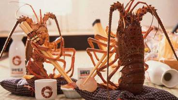 内装の詳細 / 18