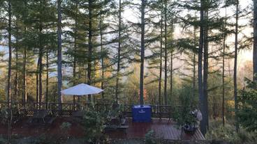 テラス / パティオ / 13