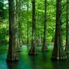 【福岡】美しい風景に癒される旅へ。おすすめ絶景スポット6選