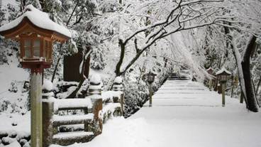 観光スポット / 18