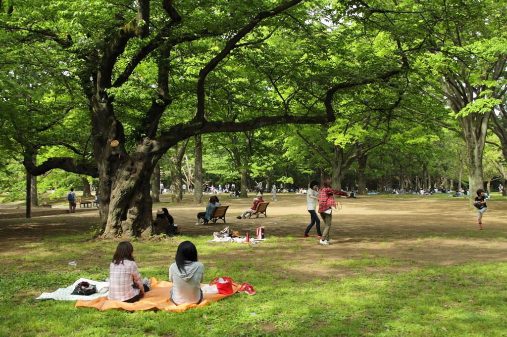 ピクニックにおすすめの公園 買い出しスポット5選in東京 Icotto イコット