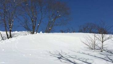 施設の敷地 / 23