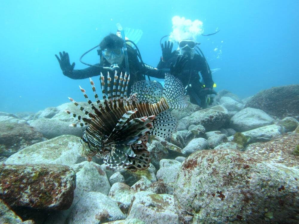 フィットネス設備