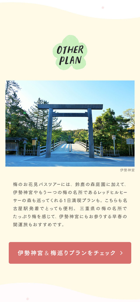 梅の花の香りに誘われて。幻想的なお花見 - 13