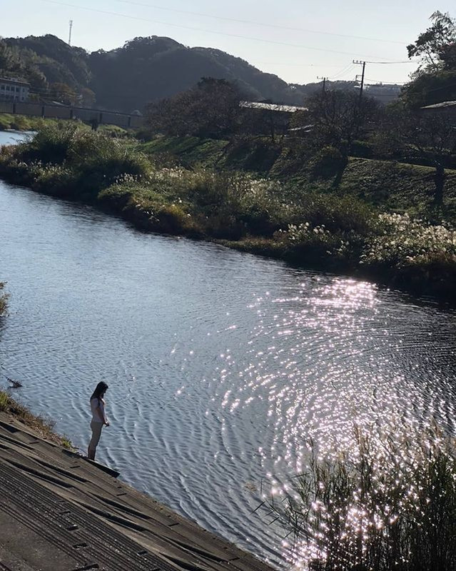 yagisanmemeさんの写真 / 1