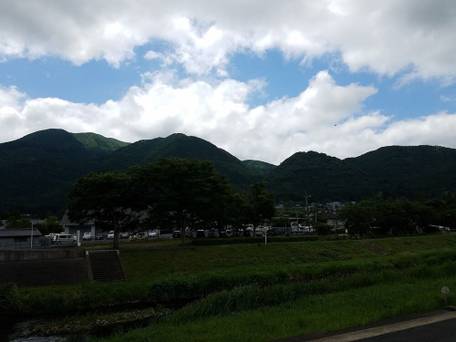 由布院温泉 旅館 百合 / 5