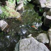 ホテル ブランヴェール那須(栃木県 リゾートホテル) / 5