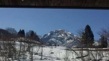 施設の敷地 / 39