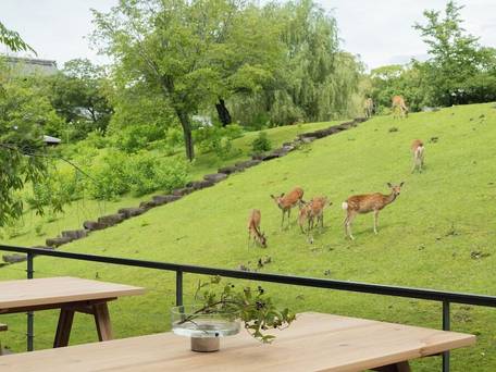 MIROKU 奈良 by the SHARE HOTELS / 2