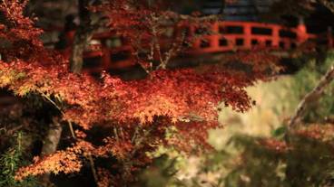 観光スポット / 6