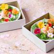 箱根 芦ノ湖 はなをり
