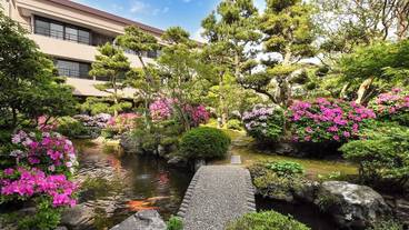 日本庭園 / 24