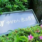 フォレストリゾート ゆがわら 水の香里（神奈川県 旅館） / 5