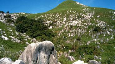 観光スポット / 6