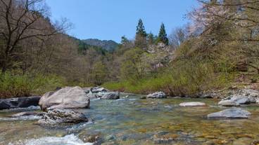 施設からの眺望 / 18