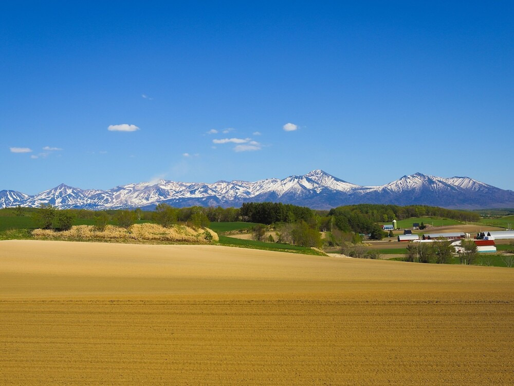 部屋からの景観