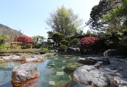 箱根湯本温泉 湯さか荘