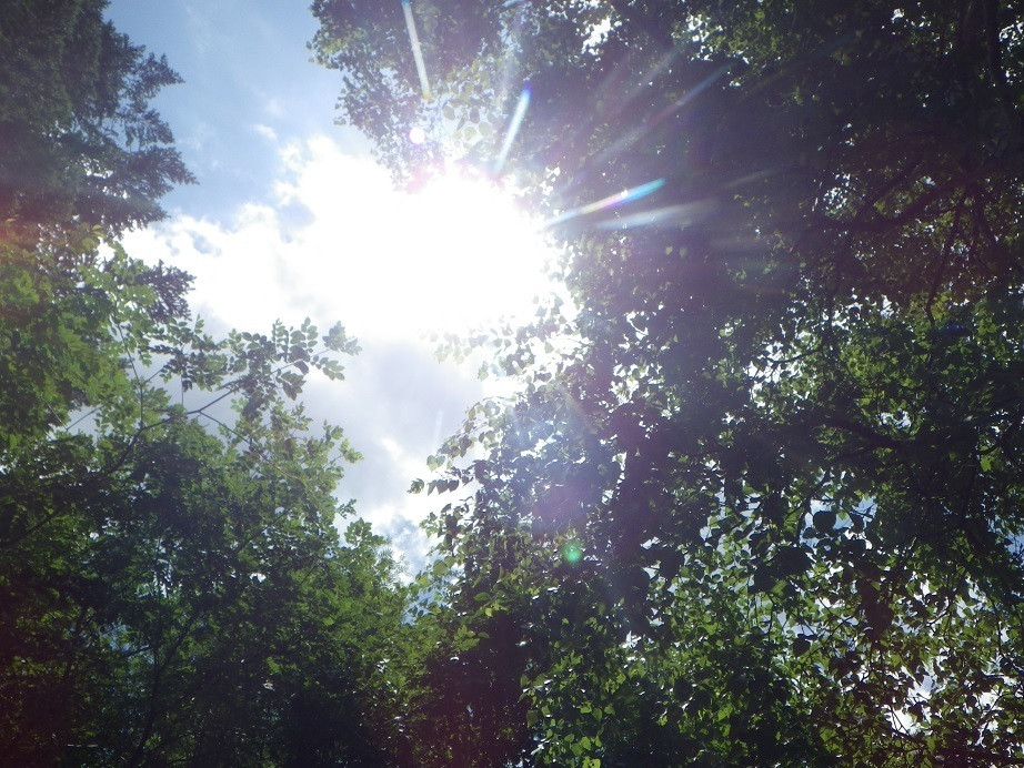 ホテル周辺の風景②