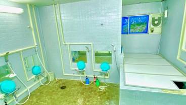 バスルーム / 19