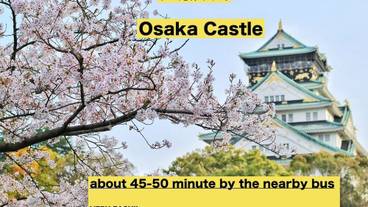 観光スポット / 10