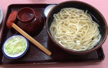 「道の駅 果樹公園あしがくぼ」料理 633528 ずりあげうどん
