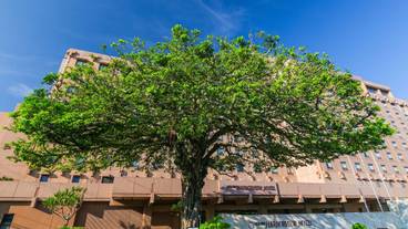 ホテル外観② / 2