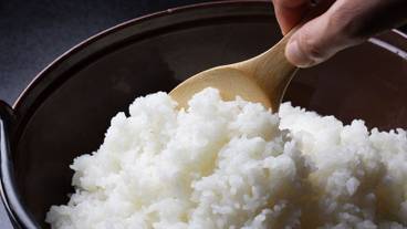 Freshly cooked Koshihikari / 5