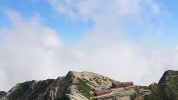 マウンテン ビュー / 5