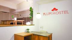 plum hostel