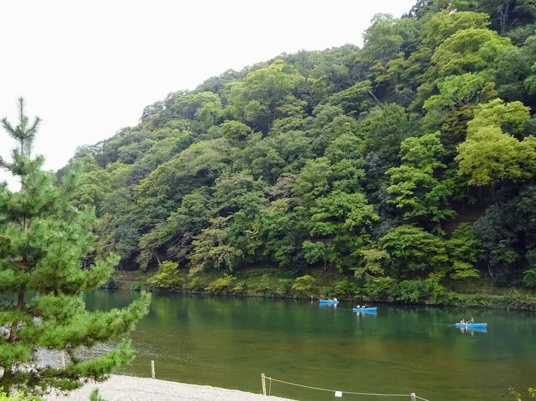 hanezuiro1206さんの写真 / 3